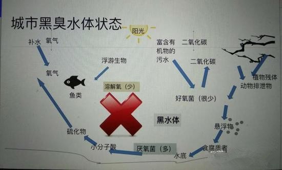 江蘇億元投資治污新技術(shù) 石墨烯能否治理黑臭水體？