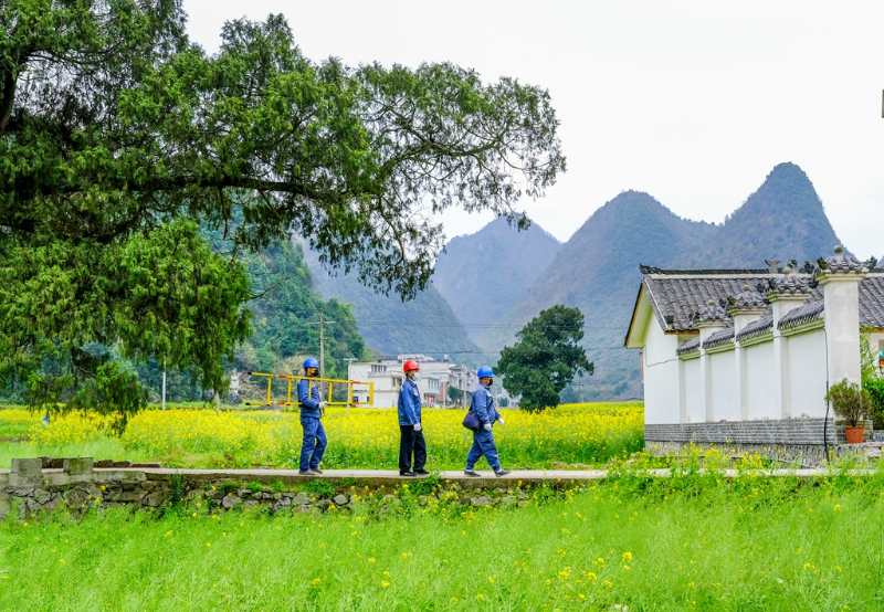 平塘供電局：“網(wǎng)格化”服務，護航“菜籃子”