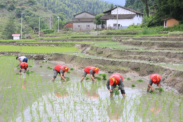 小山村有了大變化——國(guó)網(wǎng)樂(lè)安縣供電公司精準(zhǔn)扶貧工作側(cè)記