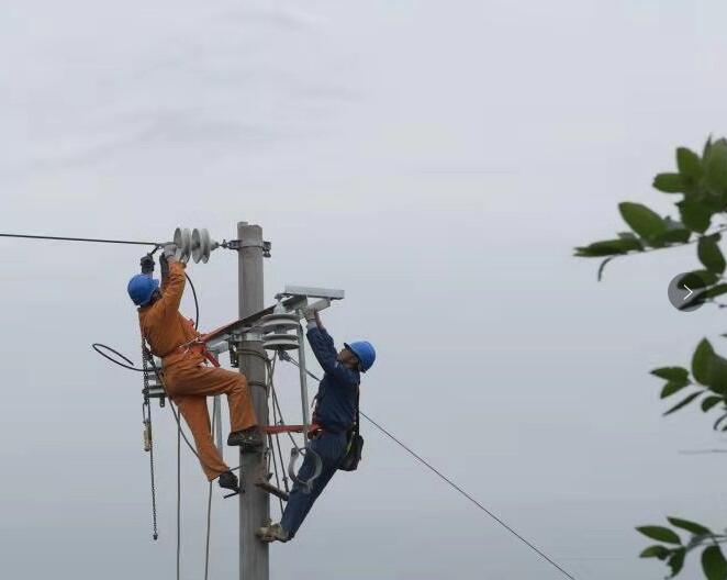 國網南充供電公司：精準施策促智志雙扶 產業(yè)振興照亮致富路