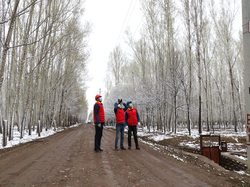 國(guó)網(wǎng)伊犁伊河供電公司四月飛雪，電力員工巡視線路保供電