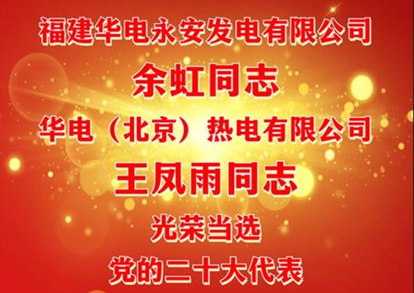 中國(guó)華電余虹、王鳳雨同志當(dāng)選黨的二十大代表