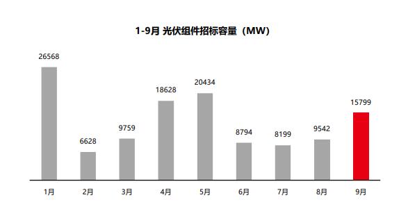 組件招標(biāo)量飆升，莫讓“最低價中標(biāo)”中傷“中國名片”