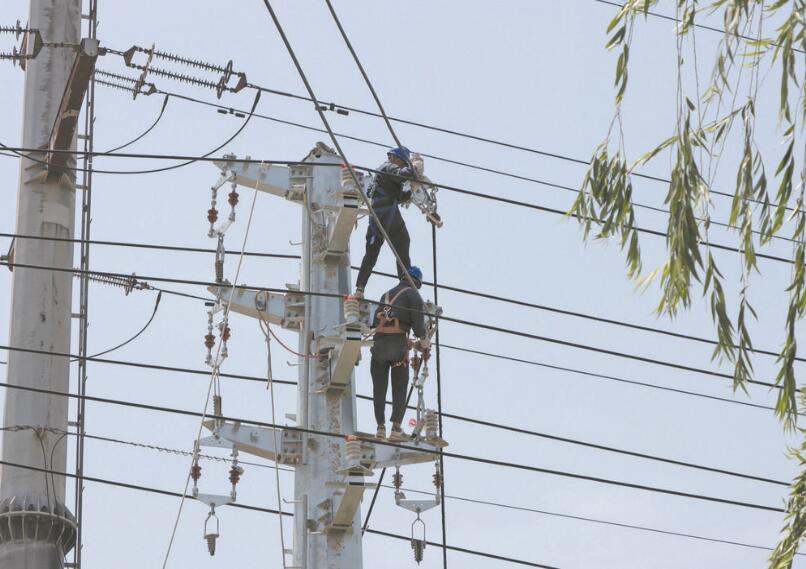 國網高密市供電：整村改造配電網 產業(yè)發(fā)展動力足