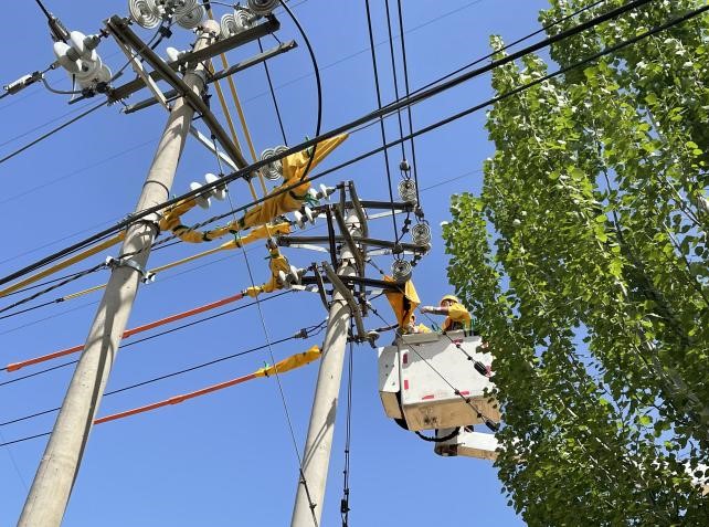 帶電作業(yè)除隱患，安全供電有保障