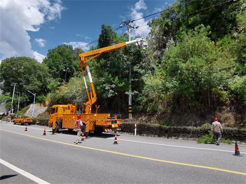 國網壽寧縣供電公司清理樹障隱患 構筑安全電力通道