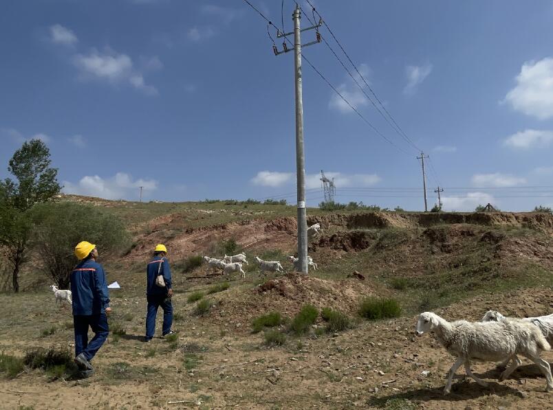 康巴什供電公司高溫巡線保供電