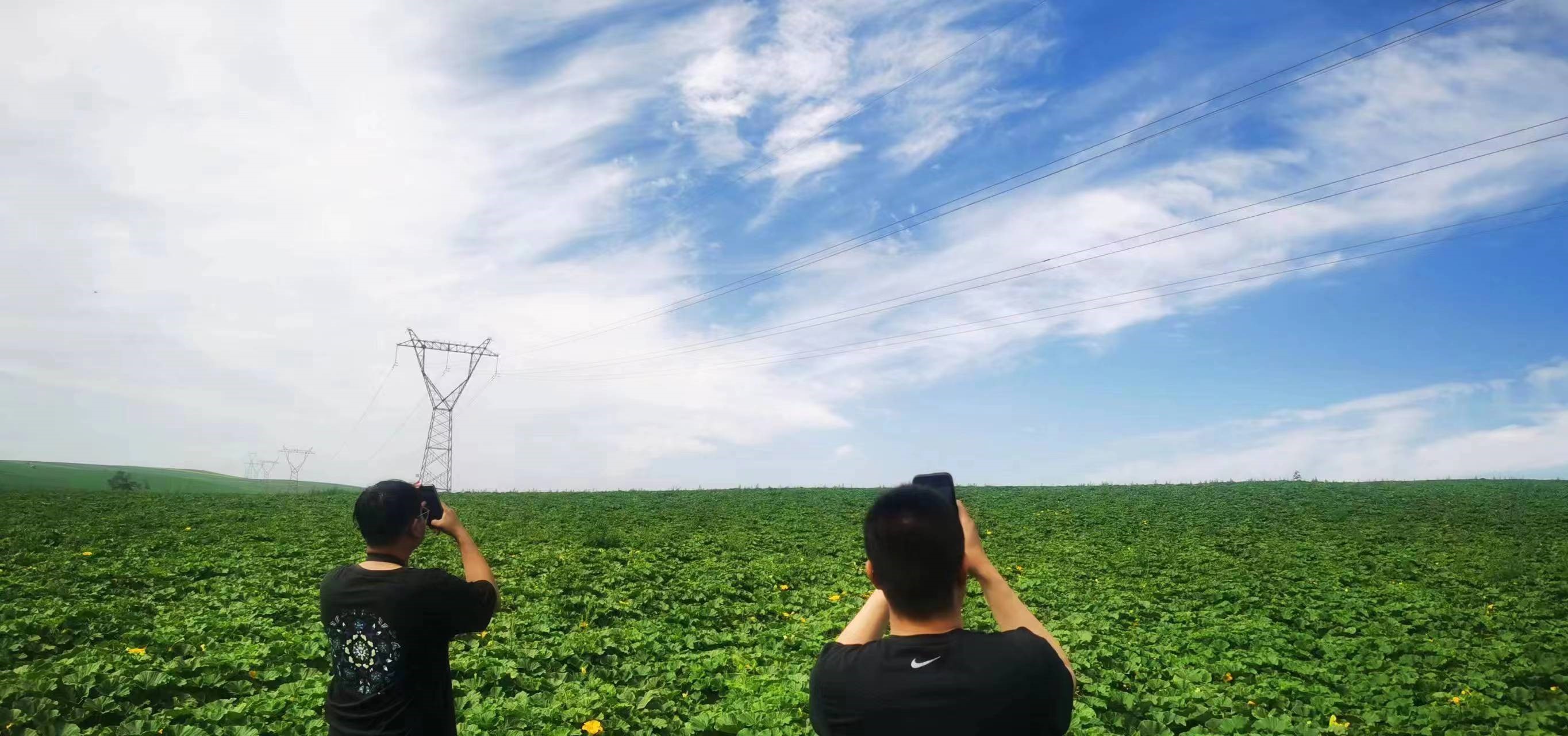 四子王輸變電管理處：防外力破壞，助安全運(yùn)行