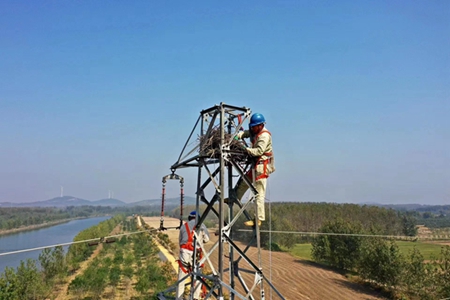 國網江蘇電力睢寧縣供電公司:“清巢行動”守護秋檢安全