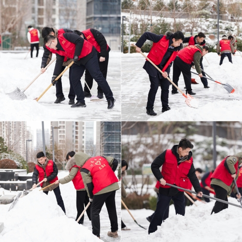 白雪更映“志愿紅”，山東電建公司志愿者掃雪除冰在行動