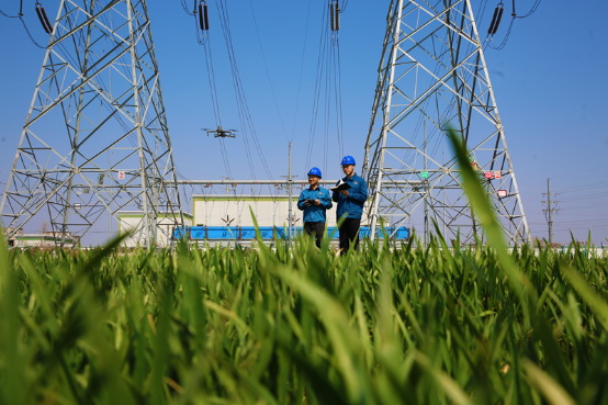 國網山東電力公司全力護航春耕春灌