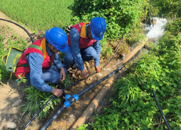 國網(wǎng)略陽縣供電公司電力服務為稻田灌溉添動力