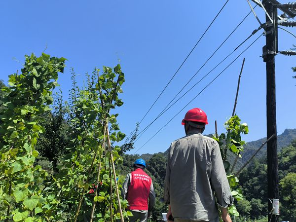 湖北竹溪供電公司暢通電力生命線(xiàn) 助力打贏迎峰度夏保供電攻堅(jiān)戰(zhàn)