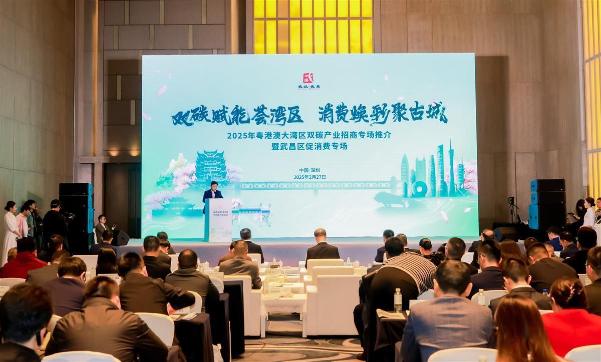 南下大灣區(qū)引來百億“綠色”項(xiàng)目，堅持為碳排放“買單”成新風(fēng)氣