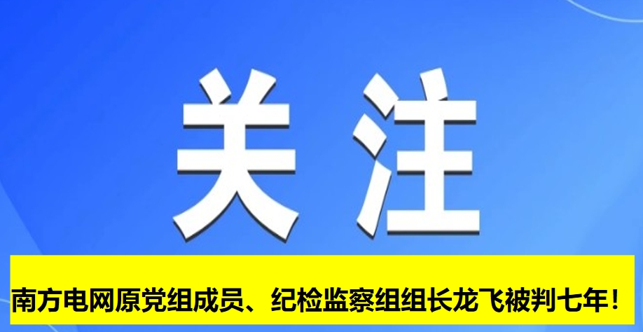 南方電網(wǎng)原黨組成員、紀(jì)檢監(jiān)察組組長(zhǎng)龍飛被判七年！
