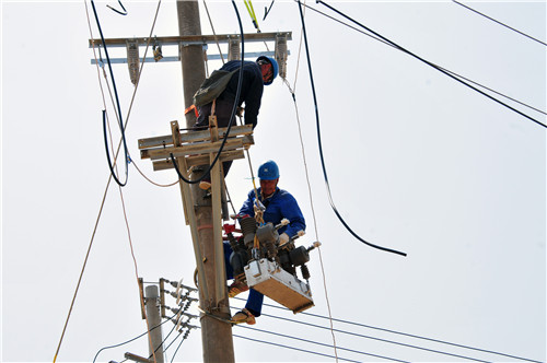 福建長泰供電：密織線路防護網